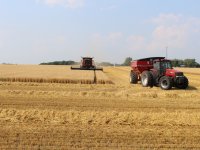 \'Als alles meezit, kunnen we hier eind mei vroege aardappelen rooien\'