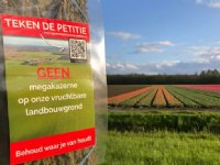 Strokenteelt mais op veen wordt gangbaarder