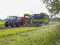 Niet-eetbare deel spruitkool heeft waarde