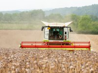 Serrabassa Vila jureert keuring Zuid-Holland