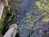 Serrabassa Vila jureert keuring Zuid-Holland