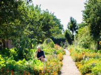 Zorgen rond Varken van Morgen