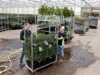 Groeikracht Cosun lanceert kennisbank voor gewastelers