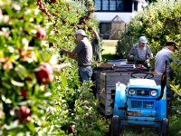 Meer preventie en minder ruimingen bij dierziekten