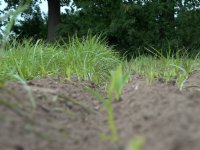 Wiersma: \'Uitspraak Raad van State betekent vooral onzekerheid\'