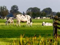 Het IRS waarschuwt voor koude nachten