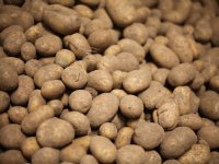 Nieuwe organisatie in mechanisatiewereld: Qtrac