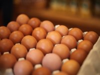 Landbouw moet profiteren van flinke opknapbeurt Ruiner Aa