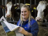 Herinzaai zwaar beschadigd natuurland