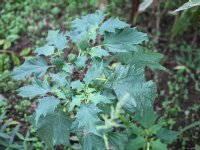 Meer keuze voor intensief Aa en Hunze