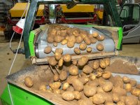 Stop de polarisatie en verbind