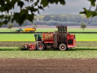 LTO: betalen voor ganzenschade