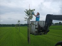 In Nederland zijn kleinere spuitdrones het meest geschikt