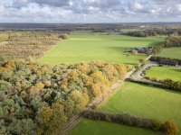 Melkveehouder heeft baat bij eigen bos