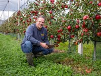 POAH! New Holland TL90A