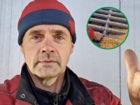 Duits aspergeareaal groeit onverminderd verder