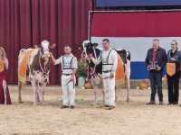 Vier winnaars Glazen Tulp 2013