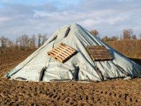 \'Aan locatie van vogelschade is geen touw vast te knopen\'