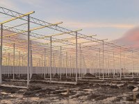 Maismeetnetdeelnemer Vedder: \'Nog nooit zo heldere mais gehad\'