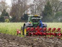 Scherpenzeler verwaarloost gewond lam