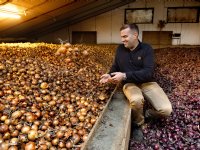 Nederland binnen EU grootste importeur van ontbossingsproducten