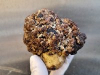 WFO-voorzitter: \'Dieselbelasting is enkel een aanleiding, er zit veel meer frustratie\'