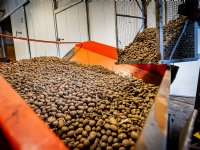 \'Agrarische sector in spagaat door energietransitie\'