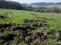 Zeeuwse bestuurders willen af van 1 oktoberregel