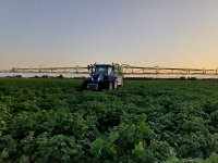 Biologische melkprijs Eko-Holland hoger dan biologisch-dynamische