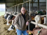 Rechtbank Groningen: Bosk en Greide te laat