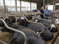 Landbouw heet hangijzer bij toekomstig handelsakkoord tussen EU en Australië