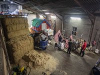 Half miljoen euro voor landschapselementen Utrecht