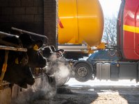 \'Natuurmonumenten legitimeert illegaal vee\'