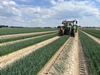 ‘Organische stof is motor van bodem’