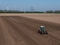 Productieboost eieren in Azië, Afrika en Latijns-Amerika