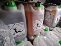 Ilse Geijzendorffer nieuwe directeur Louis Bolk Instituut