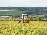 Gezondheidsraad: bronmaatregelen beste keus in strijd longontsteking