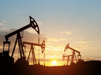 Tuinbouwcluster pakt grootste arbeidstekort aan