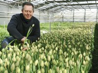 Bert Wilschut: \'Omschakelen is complex proces met grote toegevoegde waarde\'