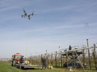 Halveringsvoorstel gewasbescherming zaait verdeeldheid onder EU-lidstaten