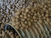 \'Europese Commissie moet Green Deal aan durven pakken\'