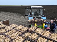 Sector lanceert visiedocument: \'Voedselcluster is stuurloos schip\'