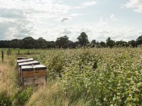 Melkveehouder Jansen: \'Horeca moet wel beetje boers blijven\'