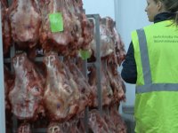 Van der Wal niet blij met uitspraken Hoekstra over stikstof