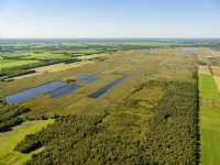 Regeling Drentse wolvenrasters wordt ruimer