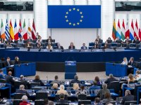 Denemarken ruimt alle nertsen vanwege corona