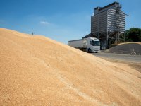 HLB neemt De Groene Vlieg over