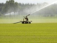 HLB neemt De Groene Vlieg over