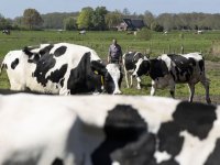 Big Pack nu met VariCut-snijinrichting