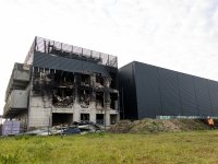 Boom en tuinplant geliefd in Duitsland